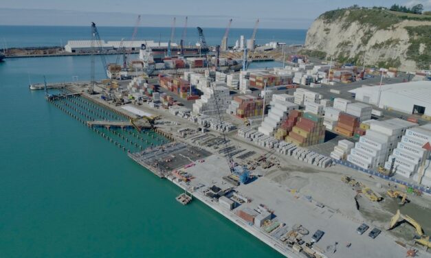 Trade diversity mitigates pandemic effects at NZ port