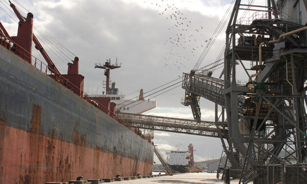 Australian fund buys into Brazil bulk ports operator