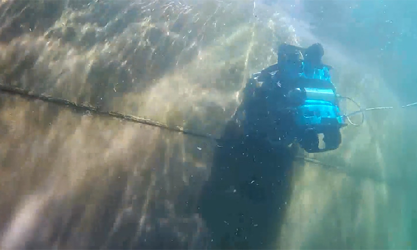 ROVs deployed for marine biosecurity surveillance