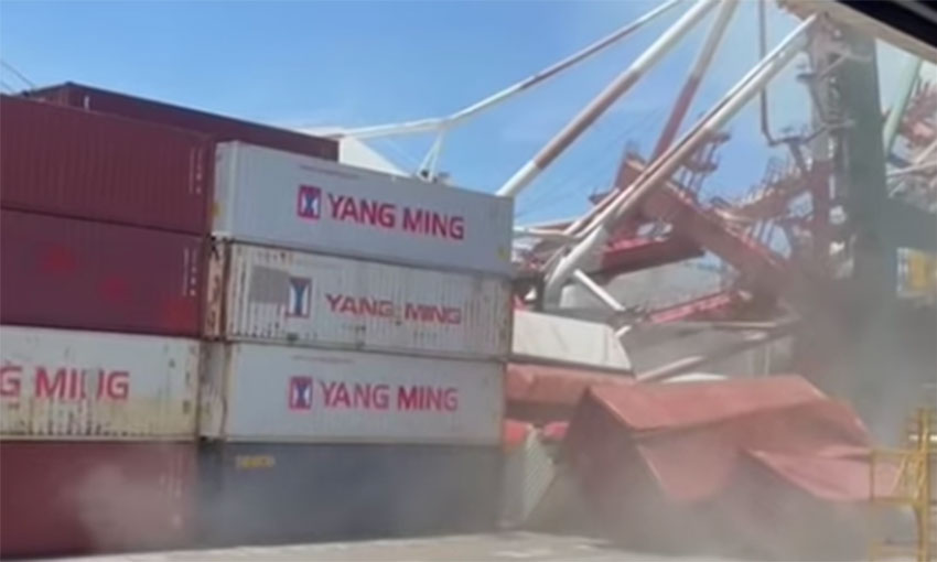 Containership causes gantry crane collapse