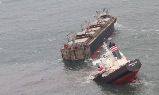 NYK-operated woodchip carrier runs aground