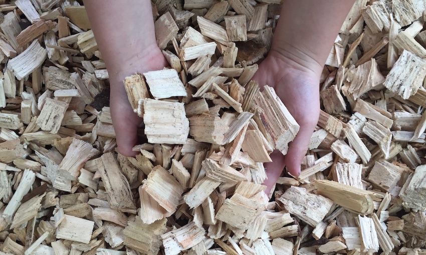 Opposition to plans to export woodchips from Newcastle
