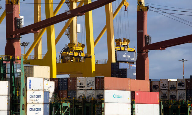 ACCC stevedoring report reveals port delays exacerbate pandemic problems