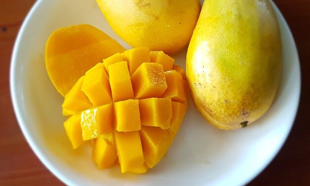 Program helps Aussie mango grower secure new US deal