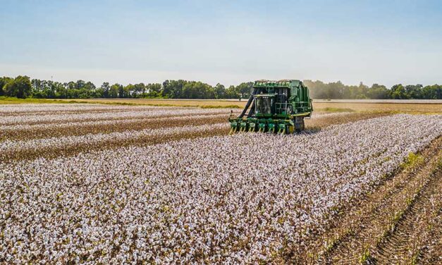 Gov’t gives $1.5m to develop market access for Australian cotton