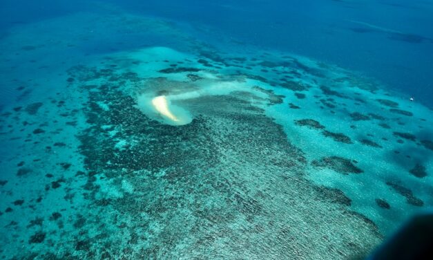 Master and officer fined $75,000 for Great Barrier Reef shipping breach