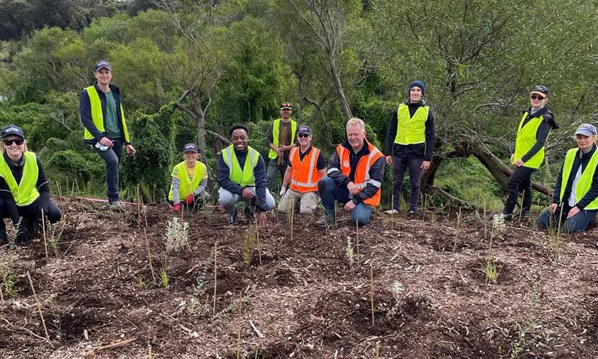 NSW Ports staff plant hundreds of trees to mark World Environment Day