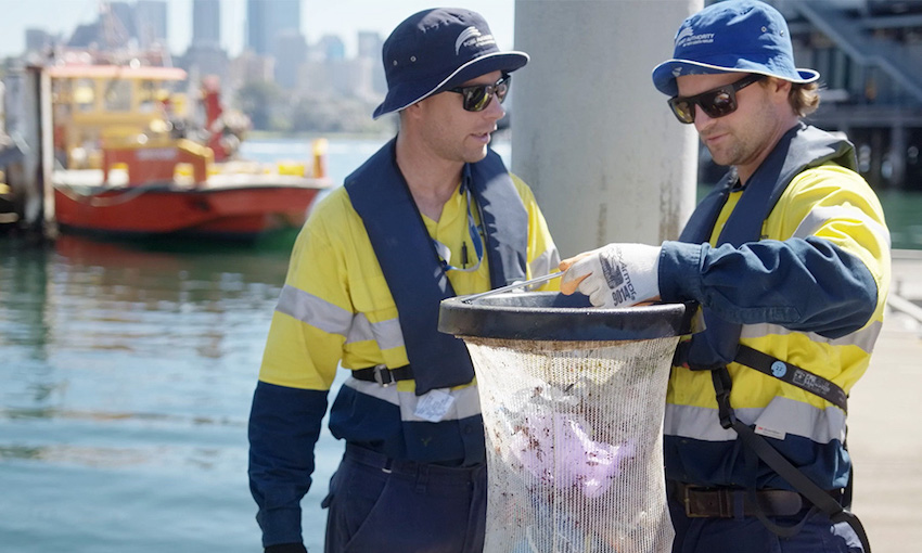 PANSW pulls almost 200 kilos of rubbish from Sydney Harbour