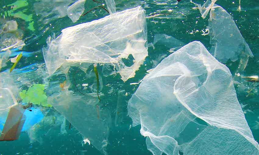 Marine plastics a threat to marine flora and fauna, livelihoods and health, AMSA says