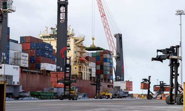 Financial results show uplift in trade at Napier Port