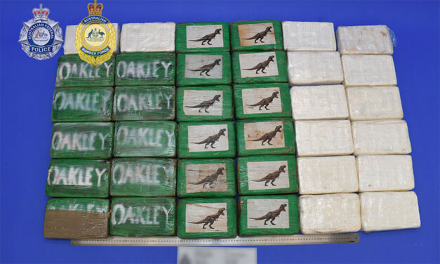 Police seek info on Botany shipping container cocaine smuggling