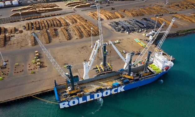 New timber cranes boost efficiency in NZ ports