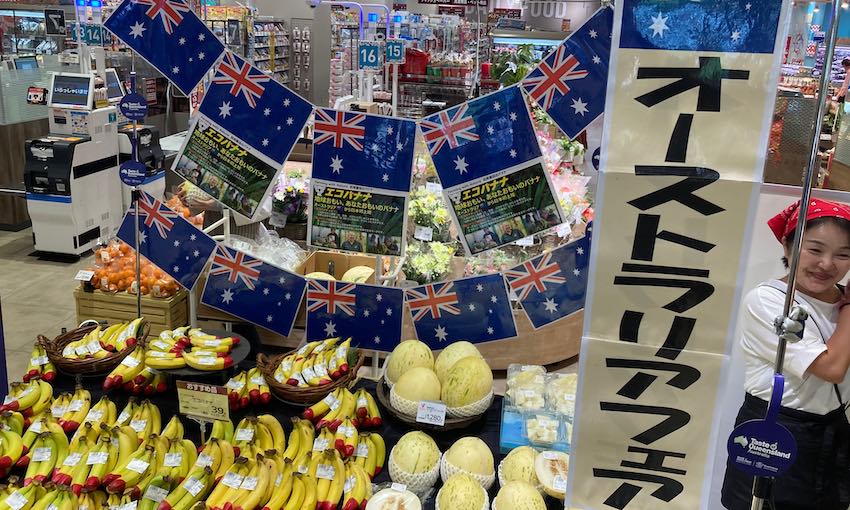 QLD bananas shipped to Japan in supply chain trial