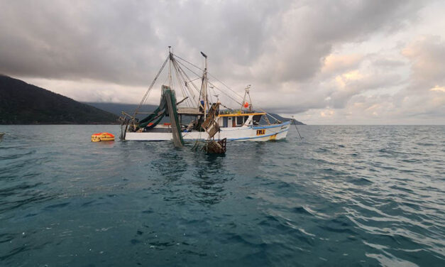 Landing craft rescues sailors from sinking trawler