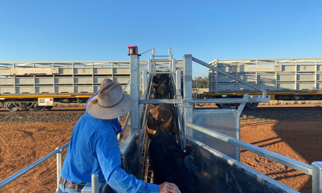 More efficient cattle trains with QLD investment