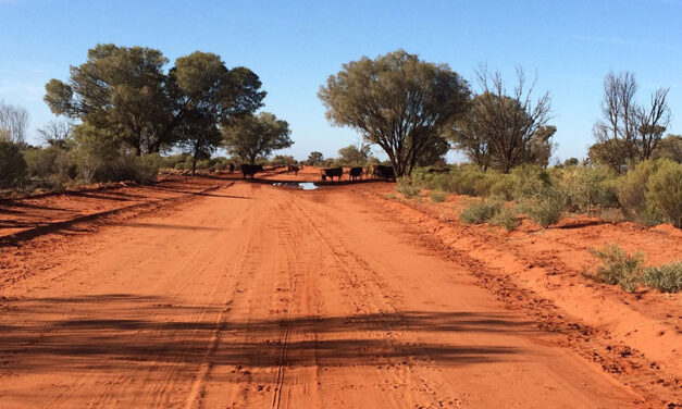 Outback freight road upgrade in progress