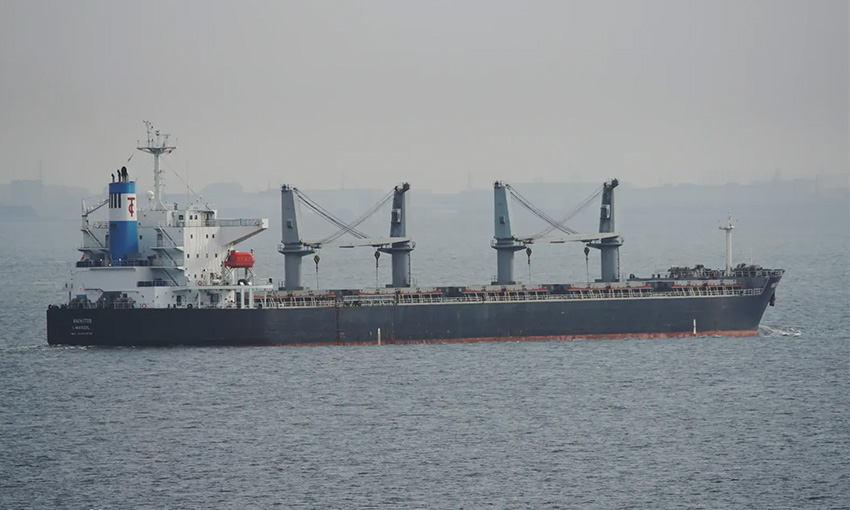 Bulker caused “severe damage” at NT wharf