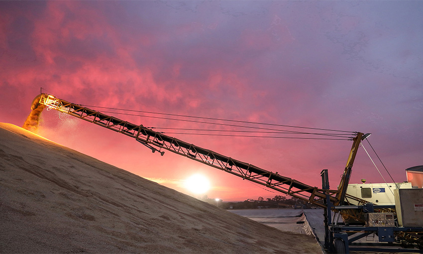 GrainCorp sees softer second half
